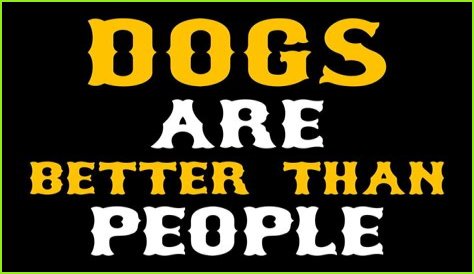 Dogs Are Better Than People and That's Why We Love Them More Than Other Humans