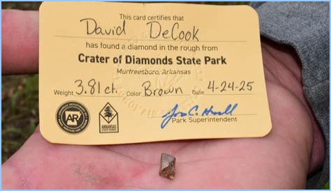 Man Finds 'Spectacular' 4.87-Carat Diamond in State Park